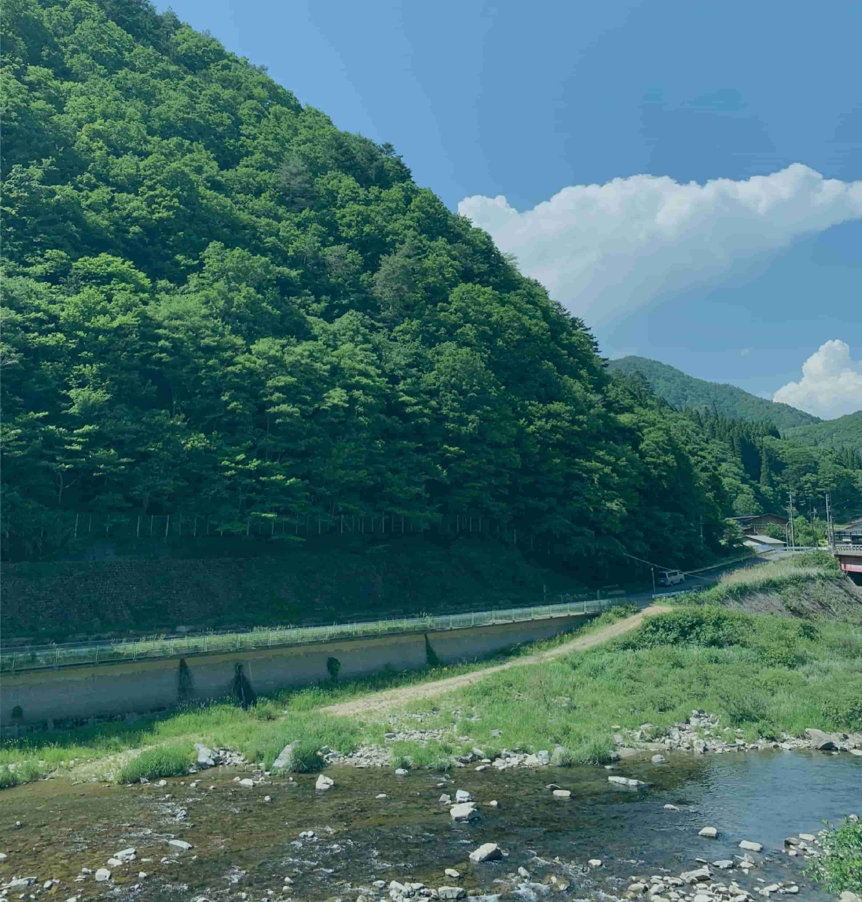 葉の画像